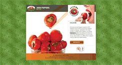 Desktop Screenshot of javapeppers.com